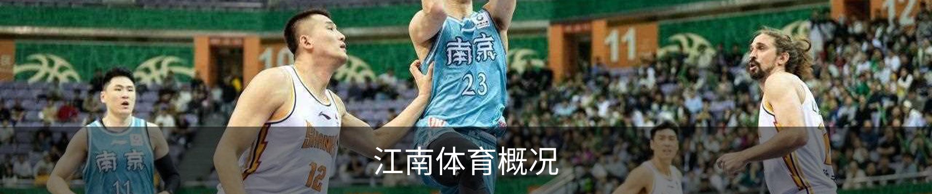 江南体育概况